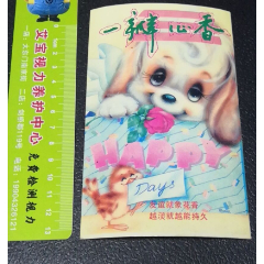 湖南宁乡【小狗小鸟一瓣心香】玫瑰花(se78698540)_7788收藏__收藏热线