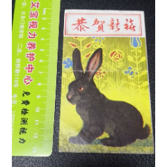 【恭贺新禧小兔子】(se78698646)_7788收藏__收藏热线