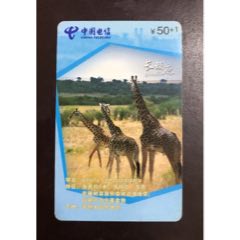 FJDXIC-21（长颈鹿）【4-3】(se78699790)_7788收藏__收藏热线