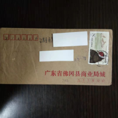 包邮，平邮实寄封贴T134褐马鸡8分，广东佛冈戳(se78700308)_7788收藏__收藏热线