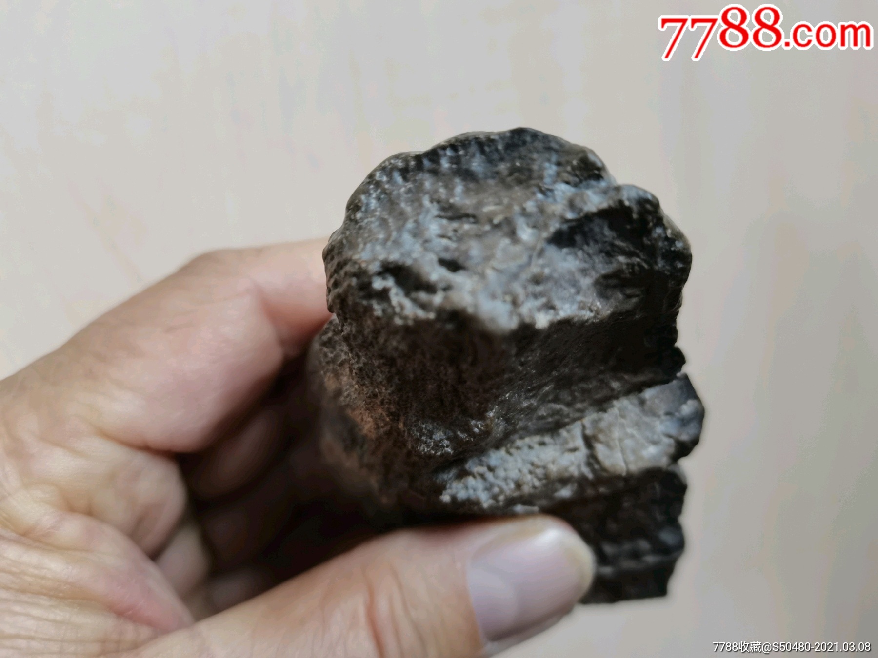天然观赏奇石沙漠漆风凌石风砺石戈壁玛瑙原石内蒙阿拉善戈壁木化石树