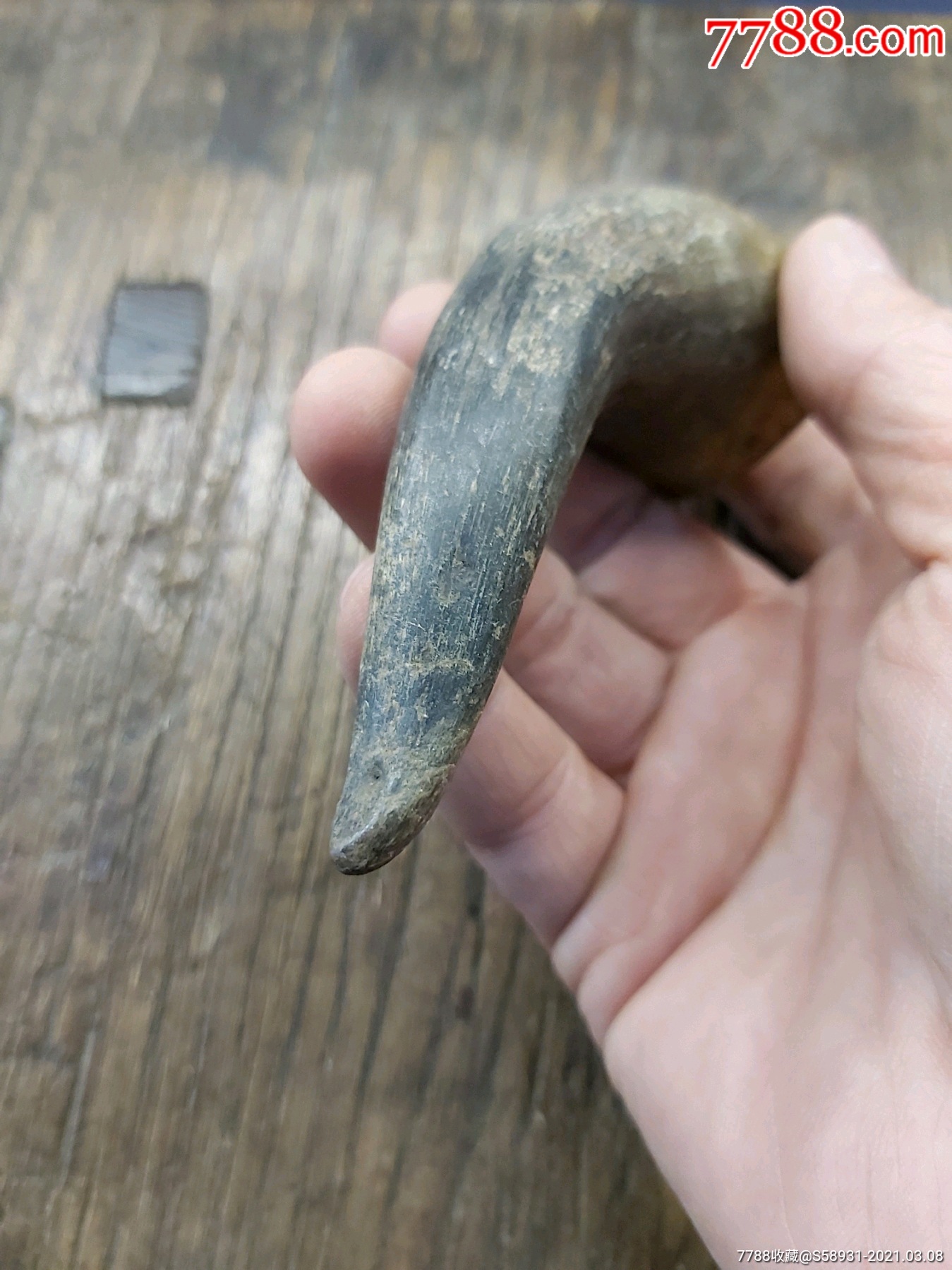 小牛角_其他角制品_种类图片_收藏价格_7788茶具