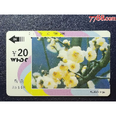 武漢市花-梅花-1）