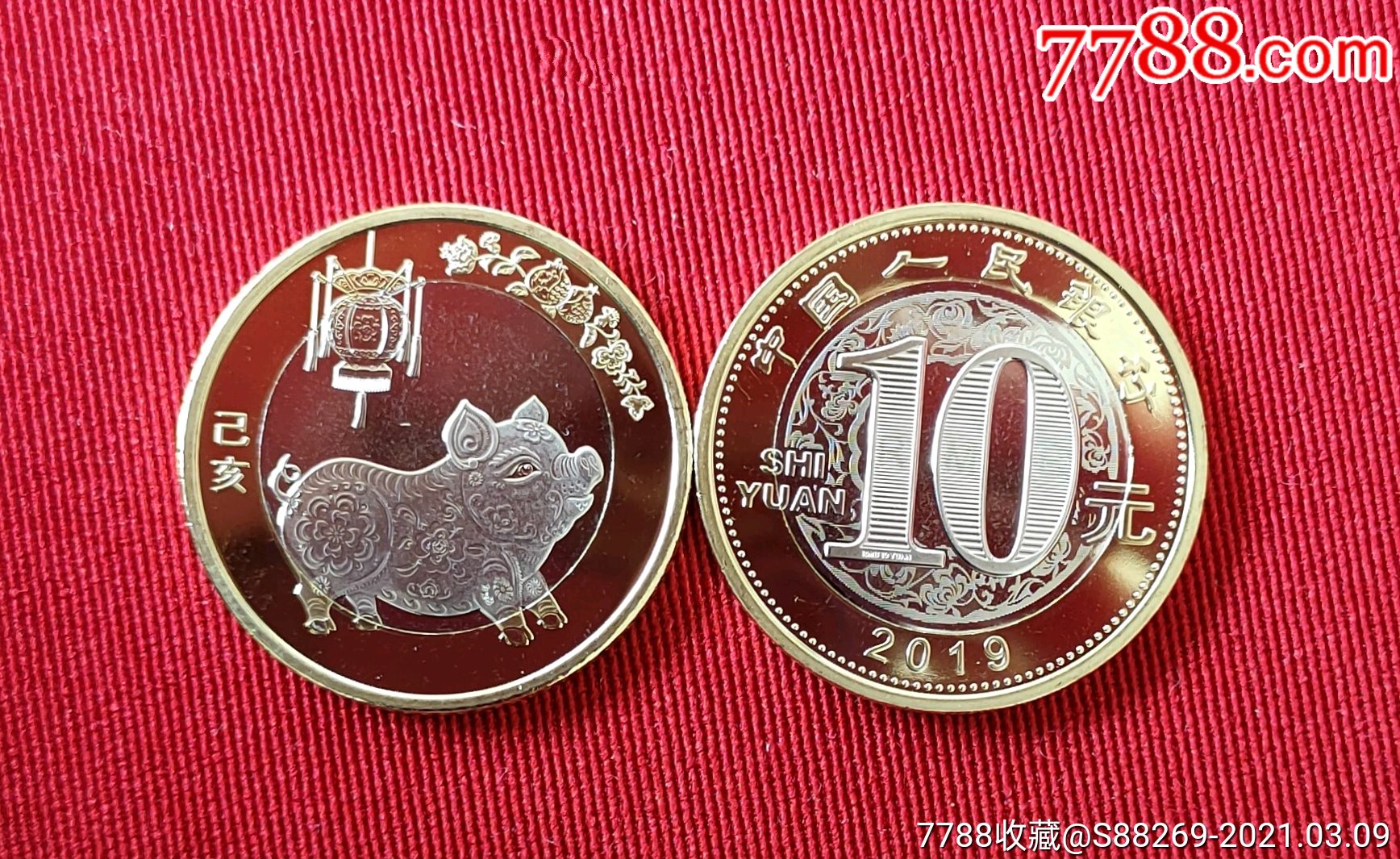 2019年10元己亥生肖猪纪念币2枚