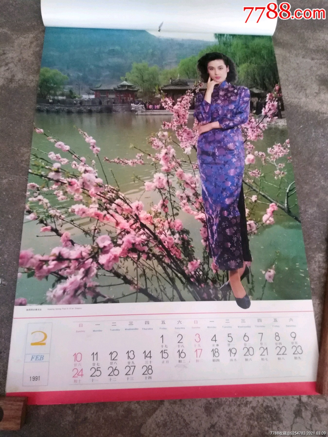 1991年恭贺新禧,美女旗袍模特挂历