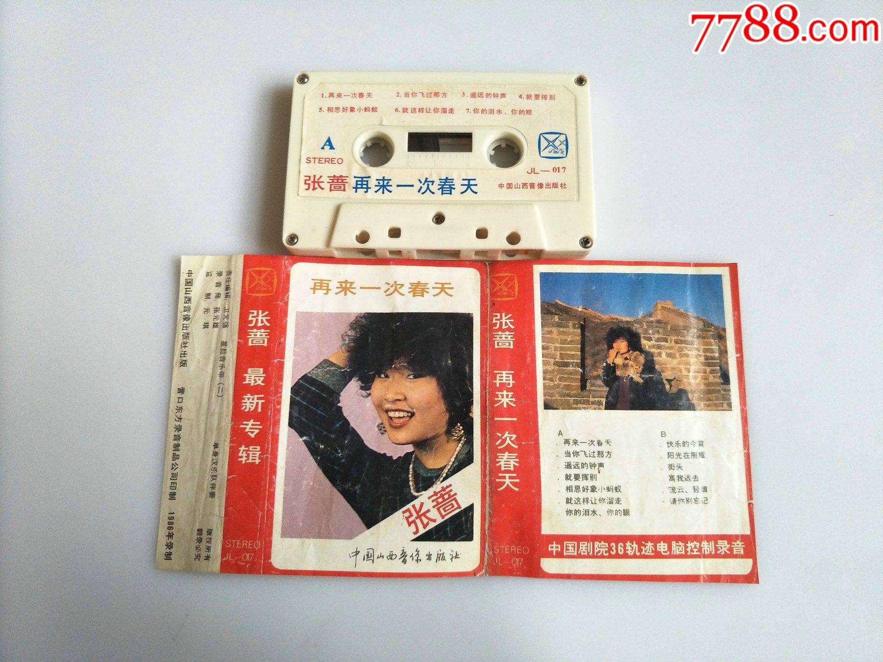 张蔷-再来一次春天