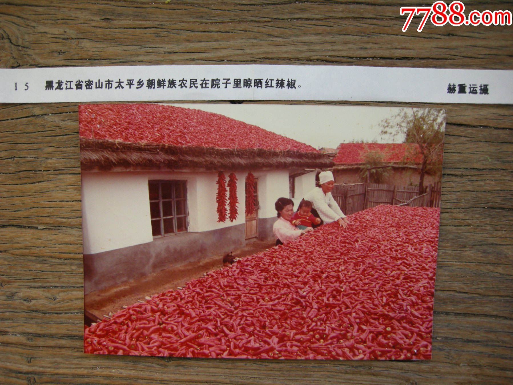 1990年黑龙江密山市太平乡朝鲜族农民在晾晒红辣椒