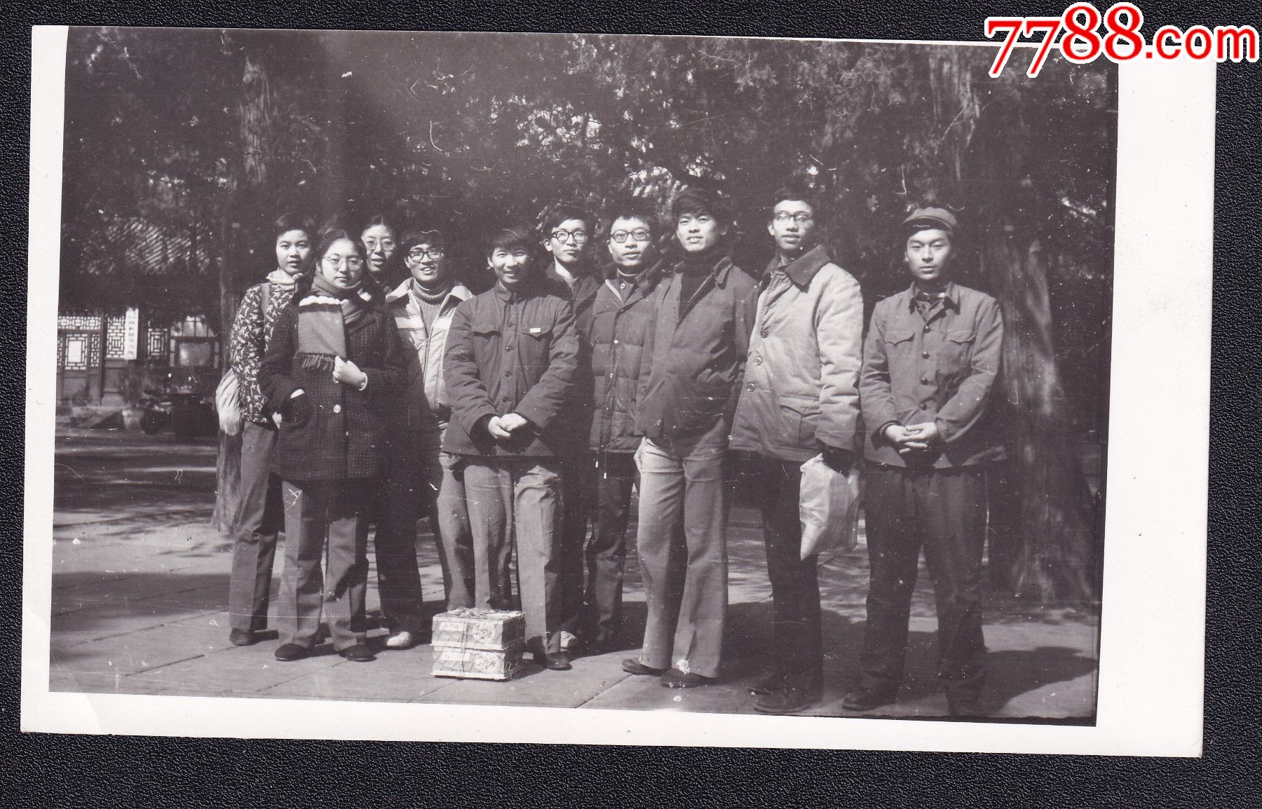 80年代大学生合影老照片1张尺寸约76127厘米