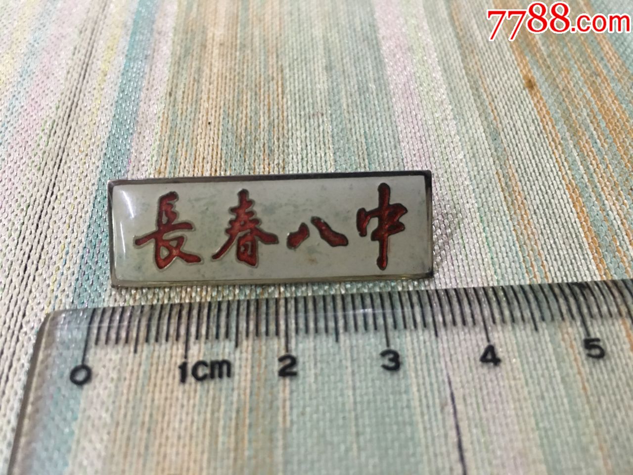 长春(市)八中校徽