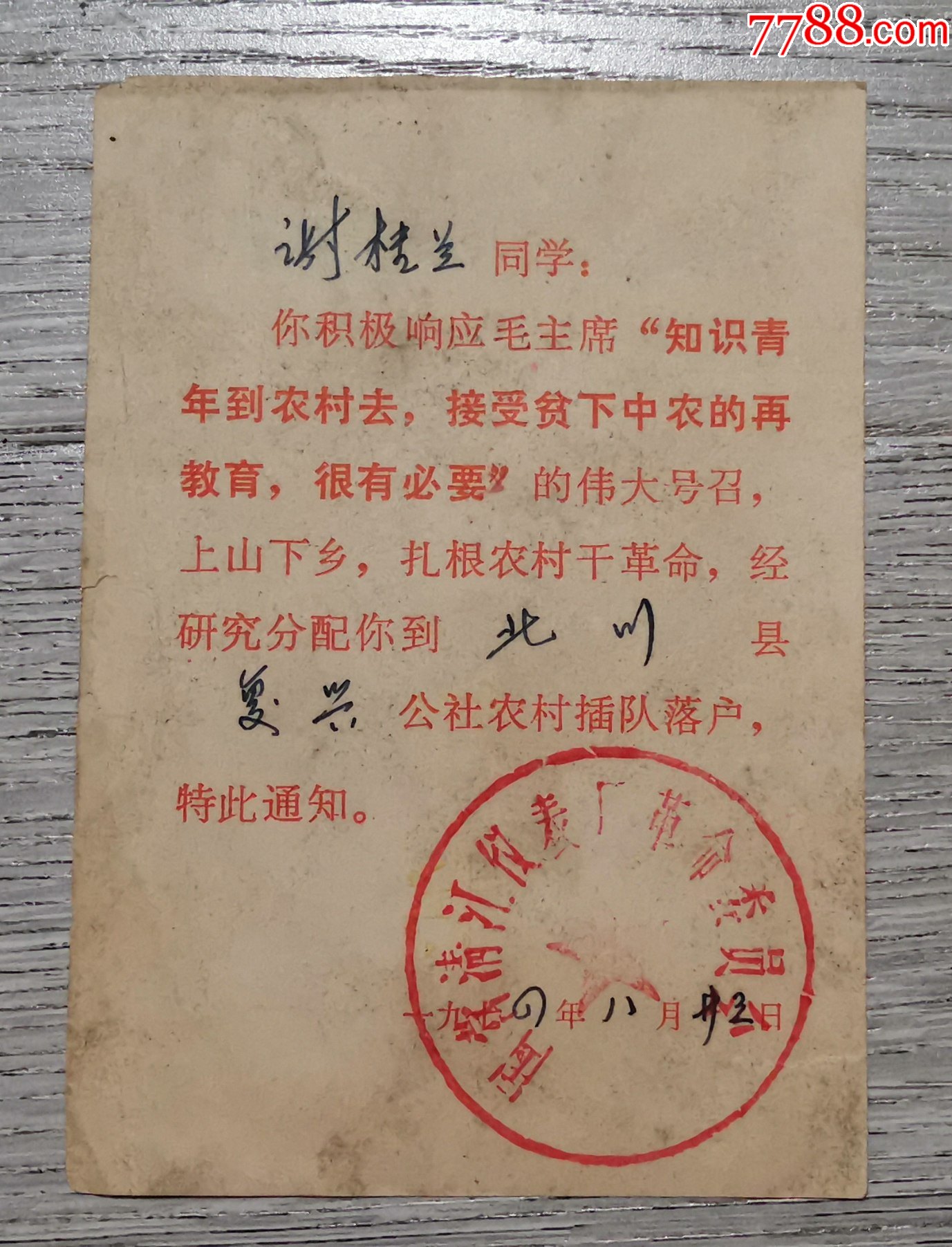 【包邮挂刷】成都市知识青年上山下乡通知书
