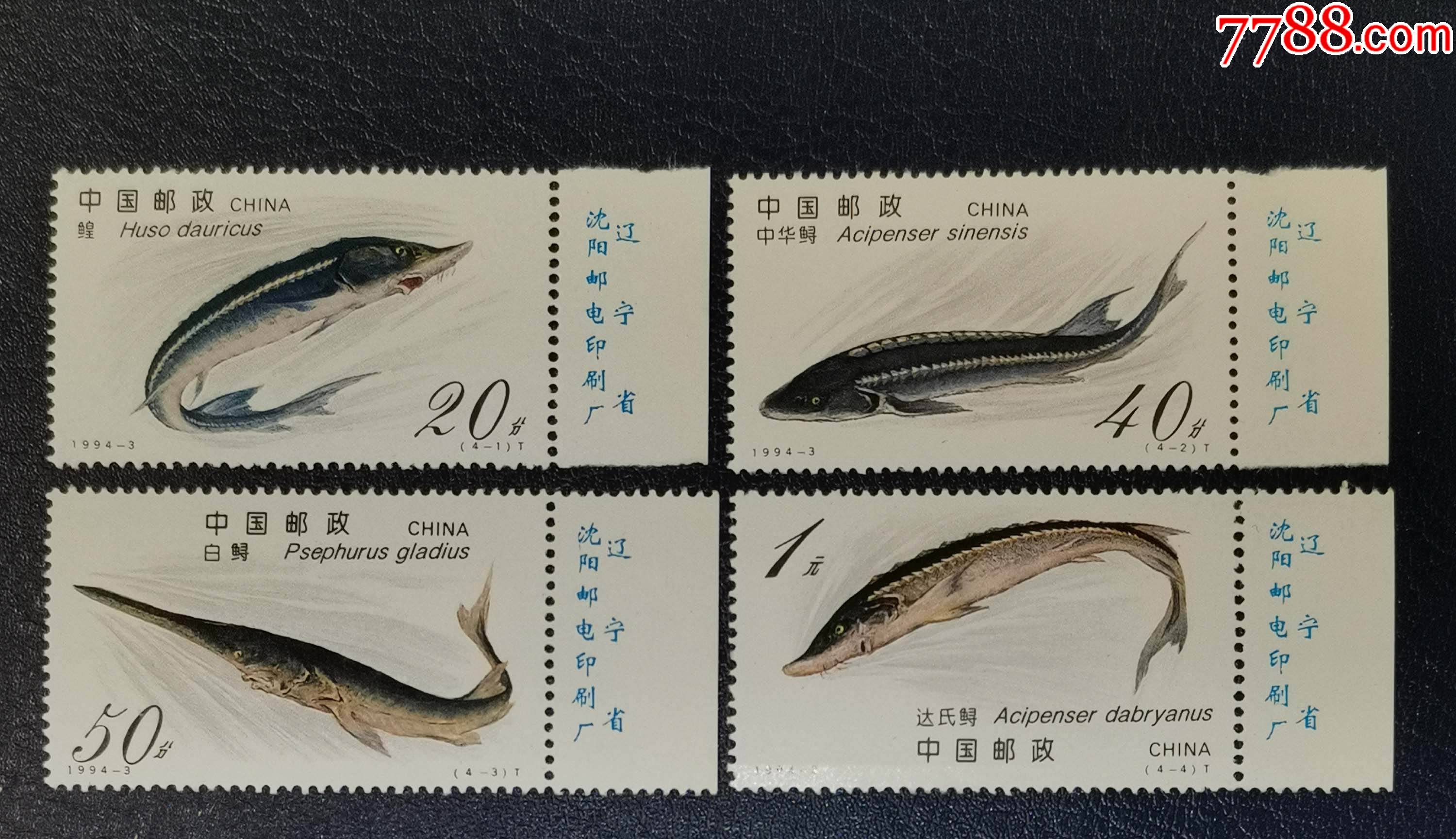 1994-3鲟鱼,右边厂铭_新中国邮票_图片价格_收藏行情_7788集邮网