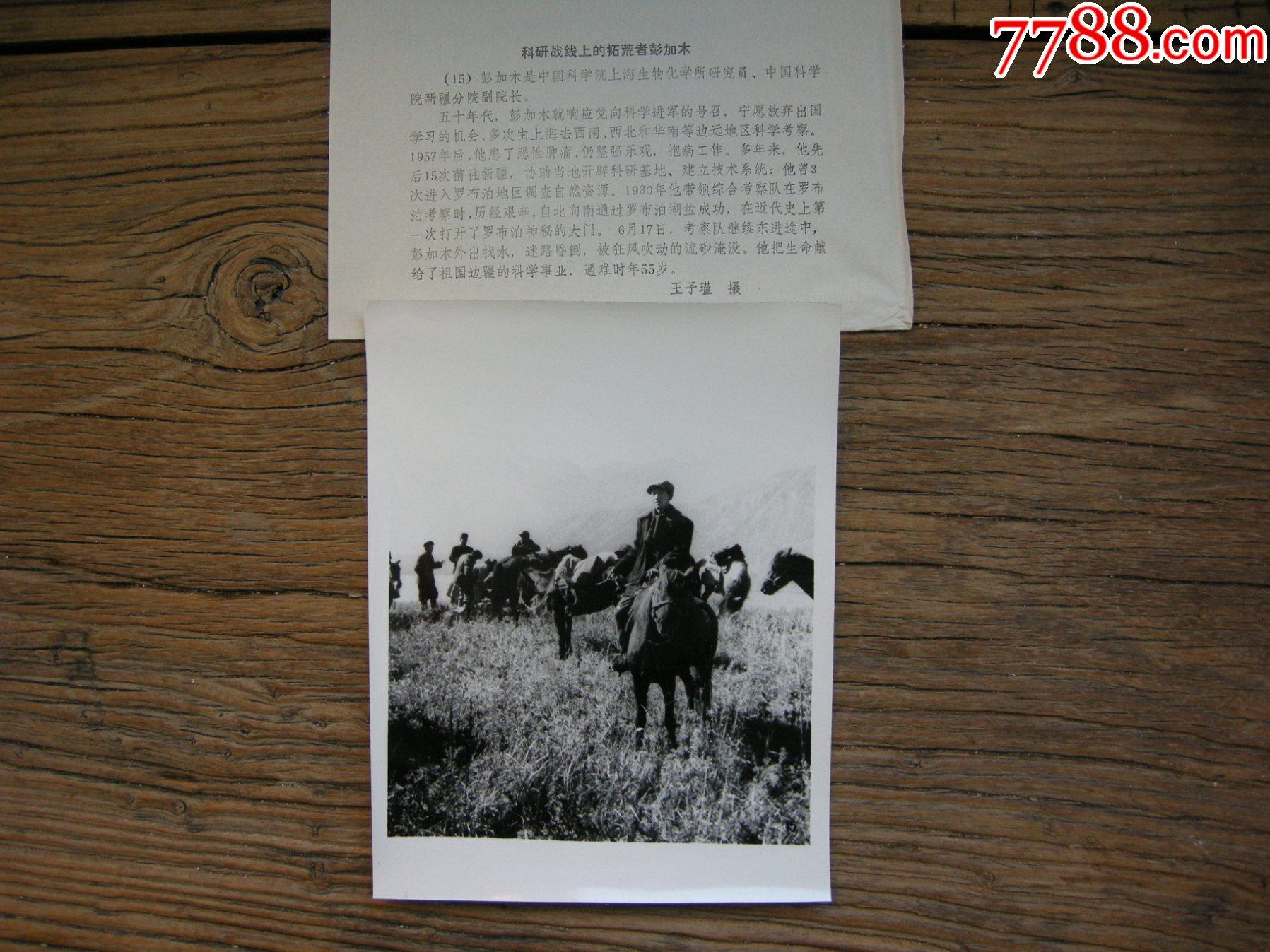 中科院上海生物化学所研究员彭加木骑马1980年带领科考