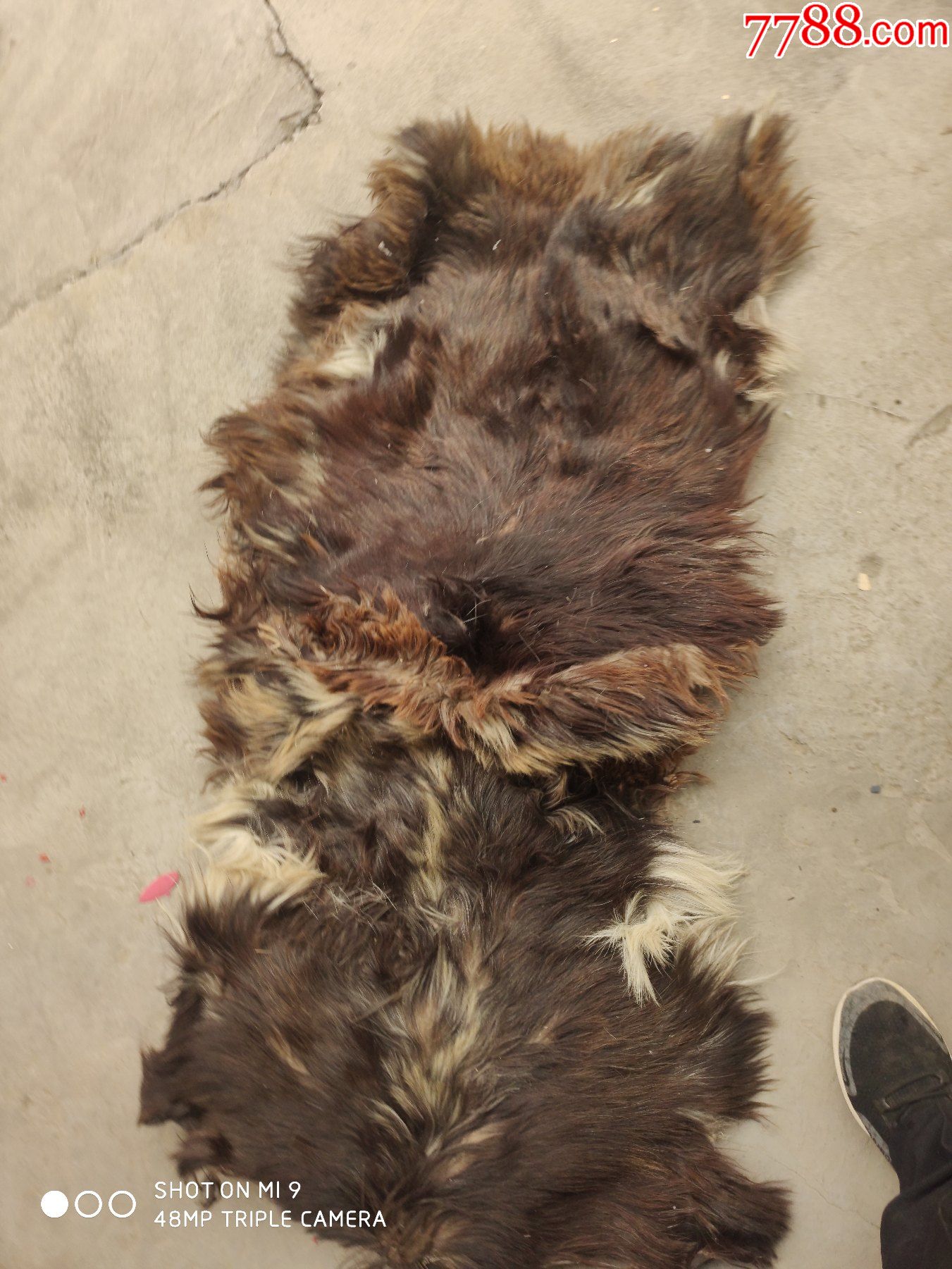 民族服饰狗皮褥子一件长188厘米宽50厘米