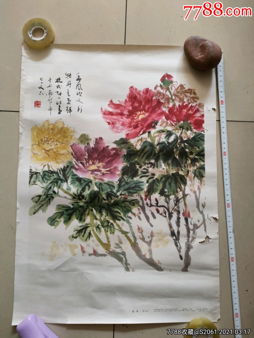 牡丹(张大壮作)-年画/宣传画-7788宣传画收藏