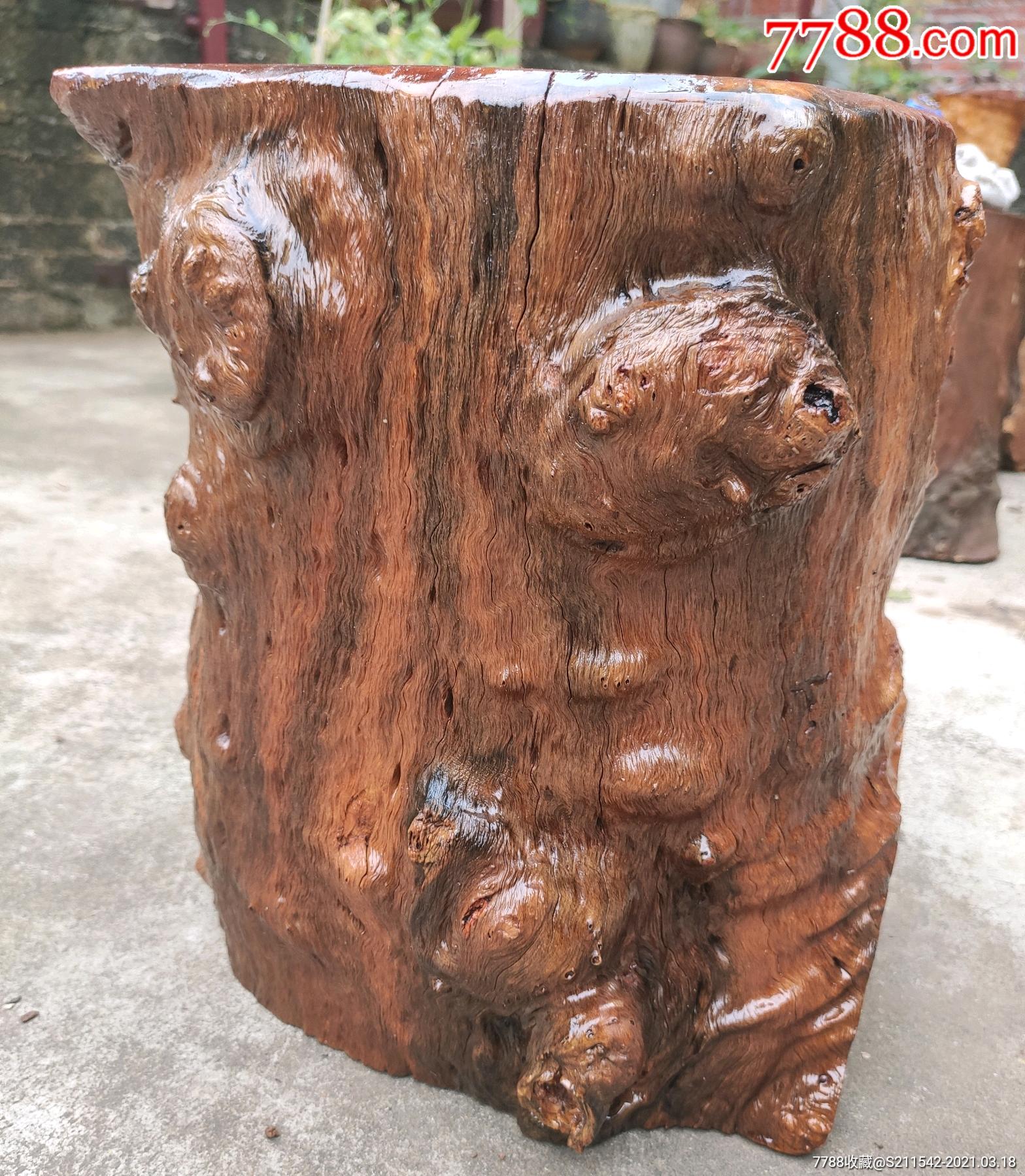 龙眼木随形满身瘤疤墩(坐墩)