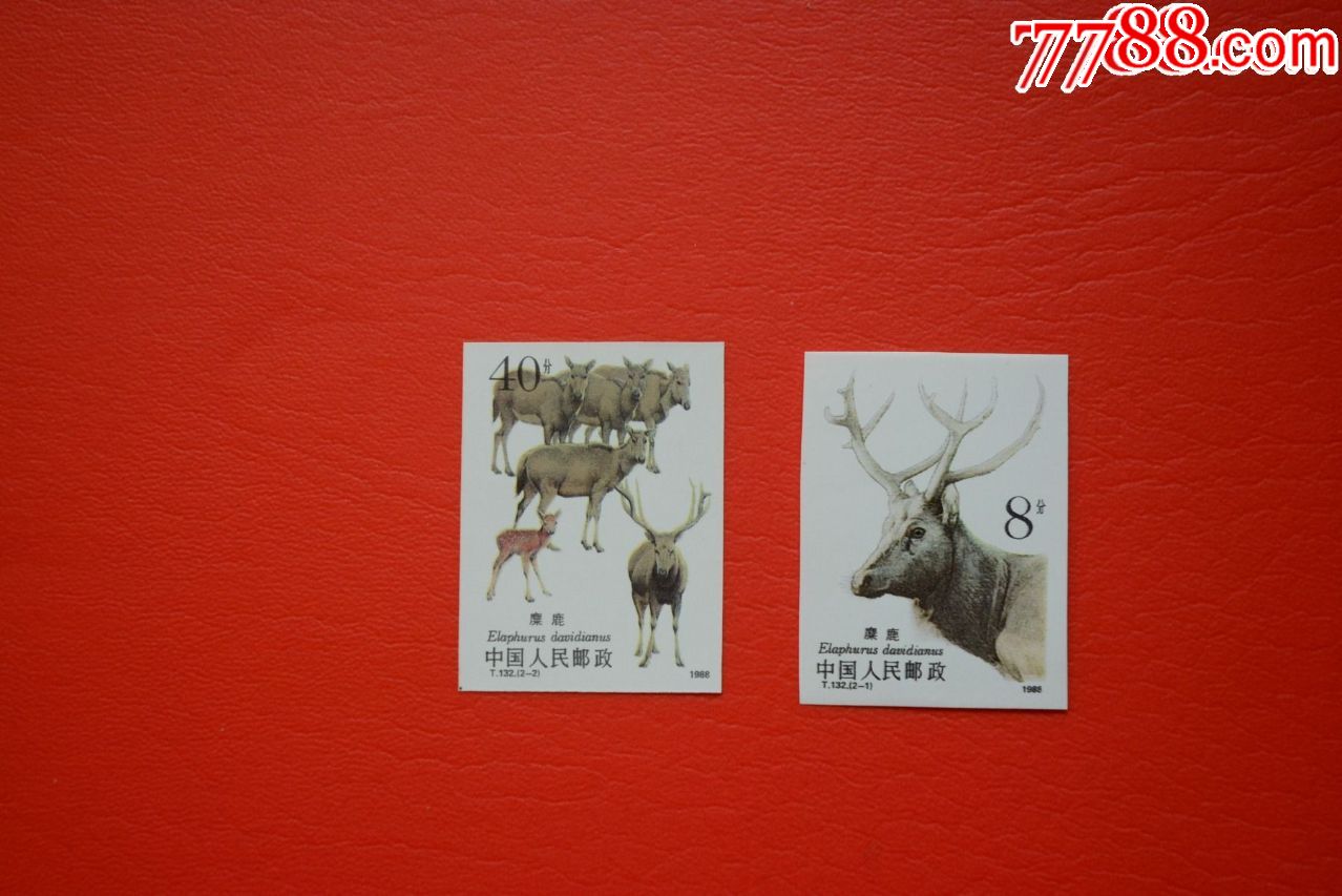 t132-麋鹿-无齿邮票-上品新票套票
