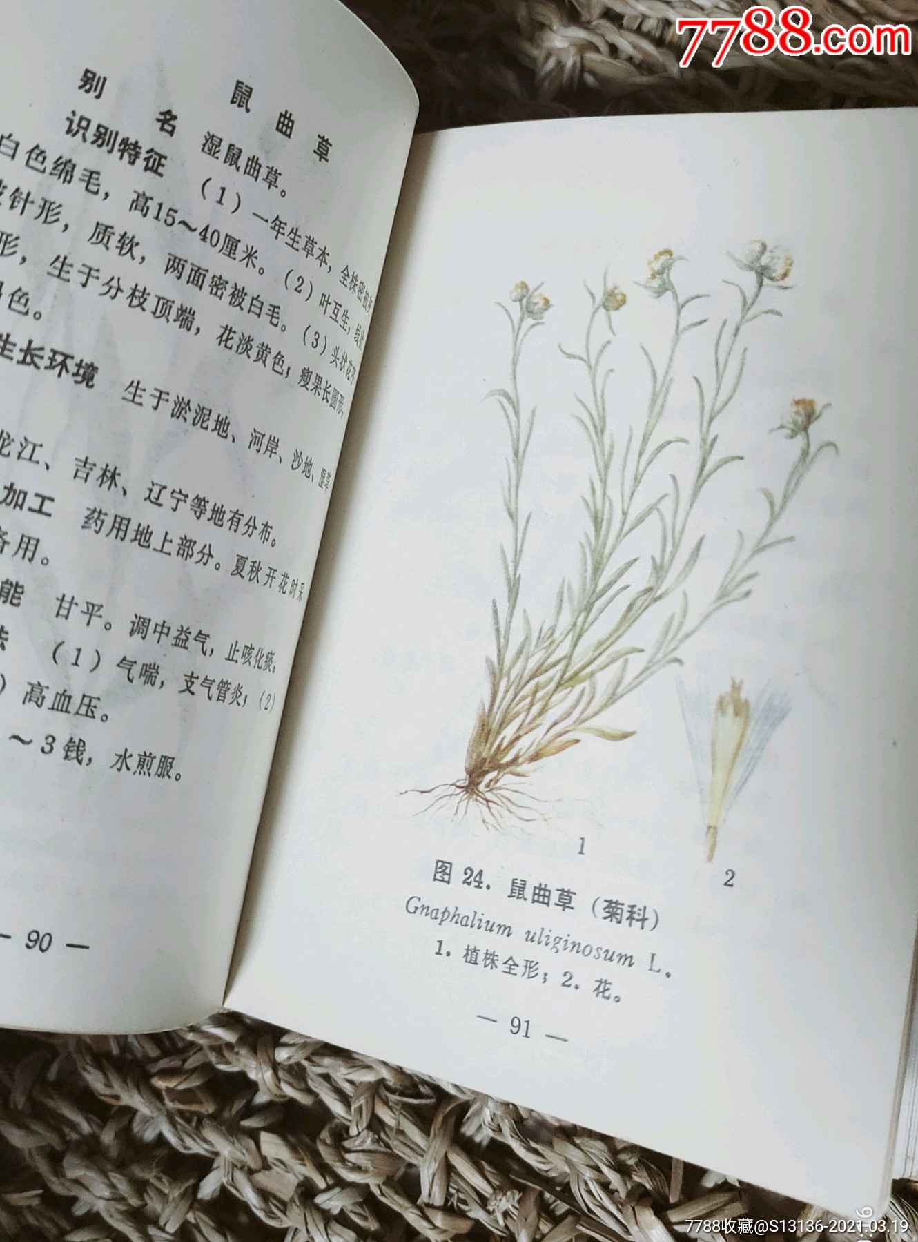 东北常用中草药手册