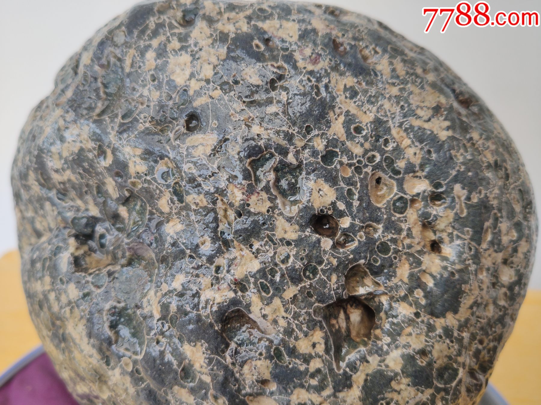 新进洛阳梅花玉原石1170缠丝美玉磁性强养生保健效果好