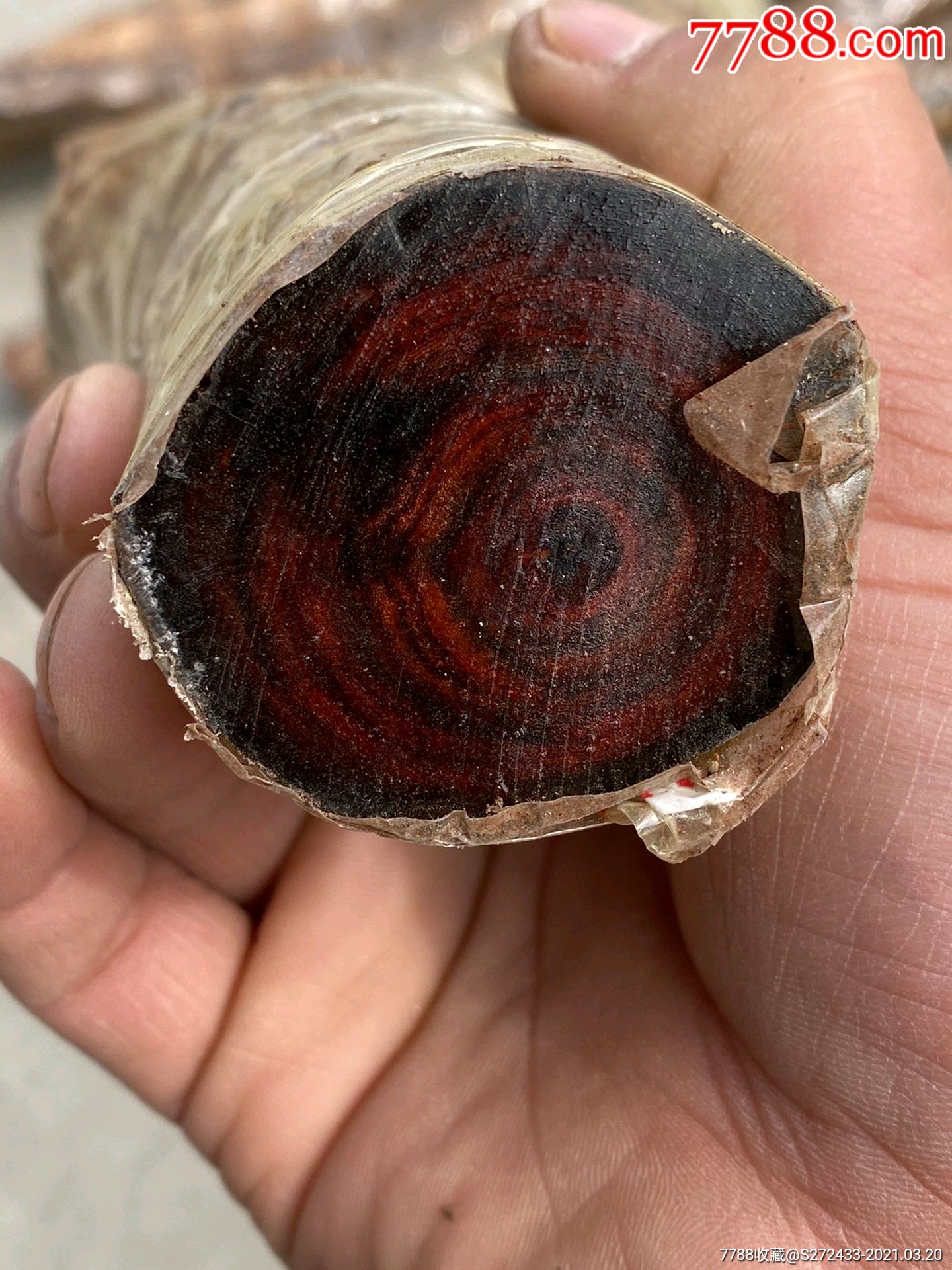 百年黄花梨老料,风化明显,花纹清晰,扯珠子,做手把件,做雕件,等都可以