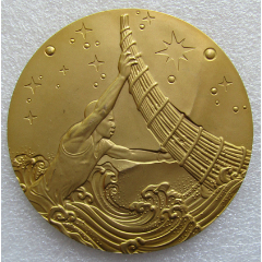 华为公司明日之星奖章