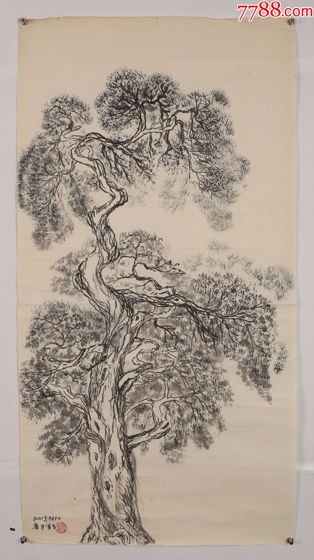 朱鲁平专场作品十七松柏写生稿