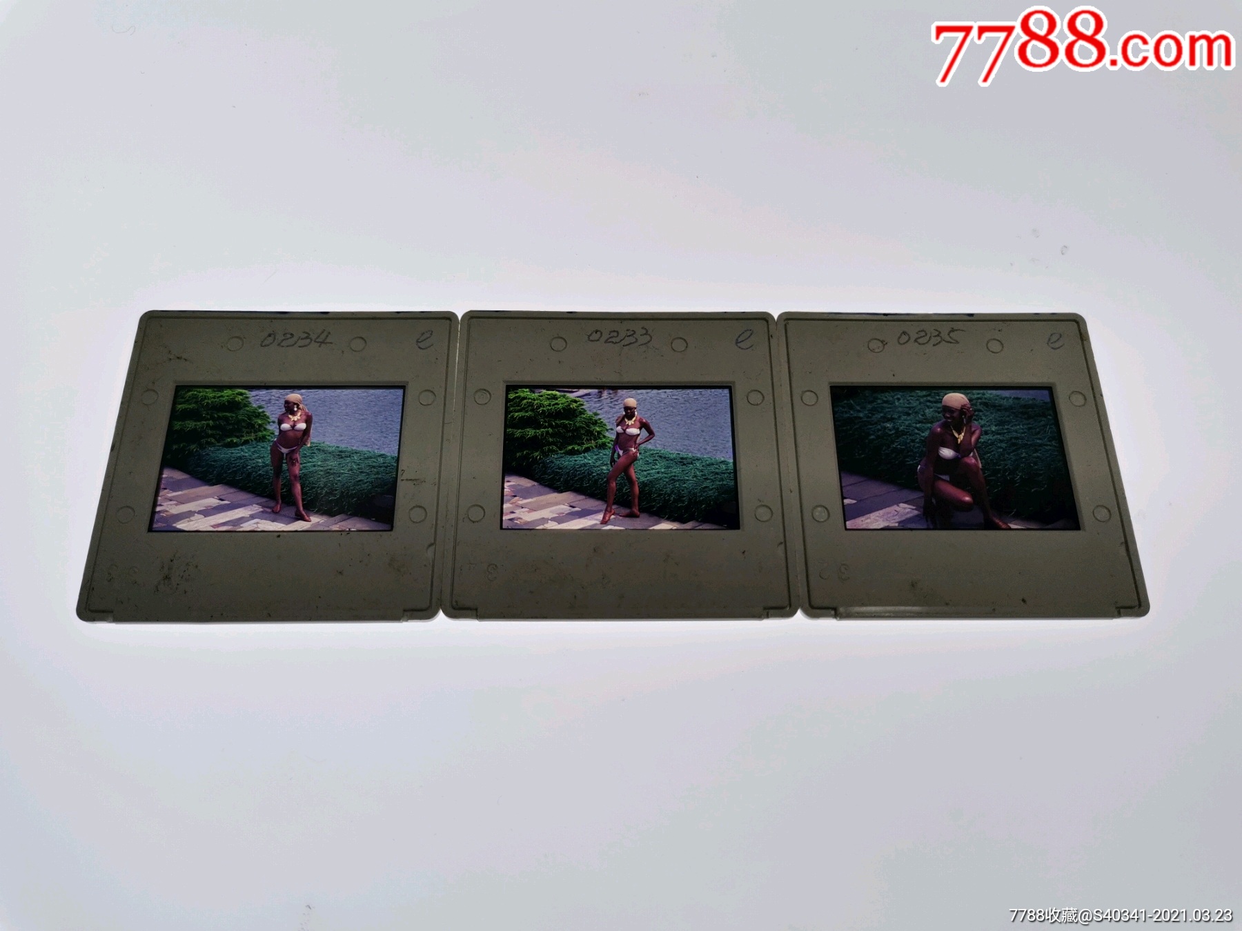 9美术反转片～陈磊～美术作品底片一张.