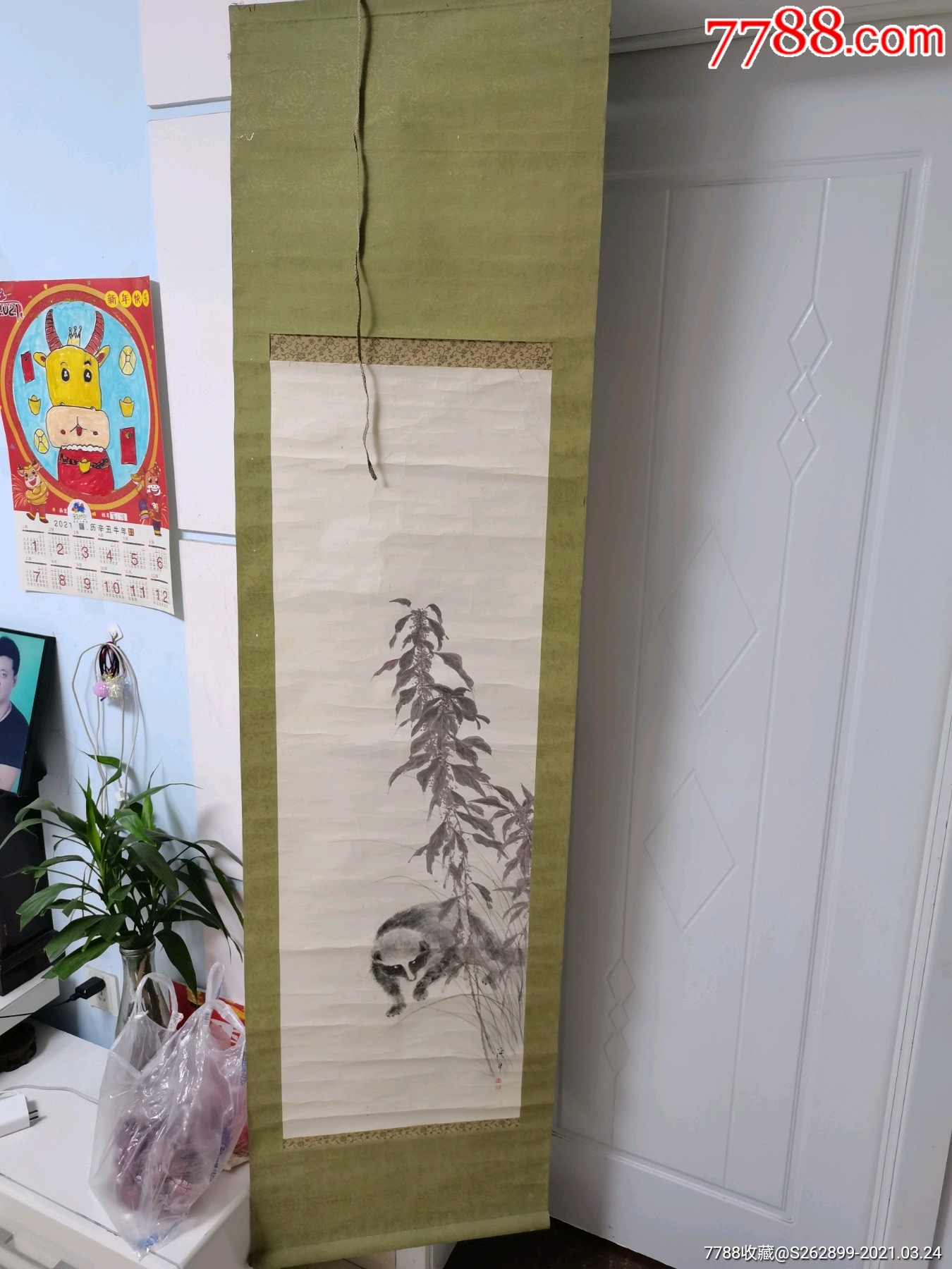 百年老画平头哥蜜獾一幅代表自强不息