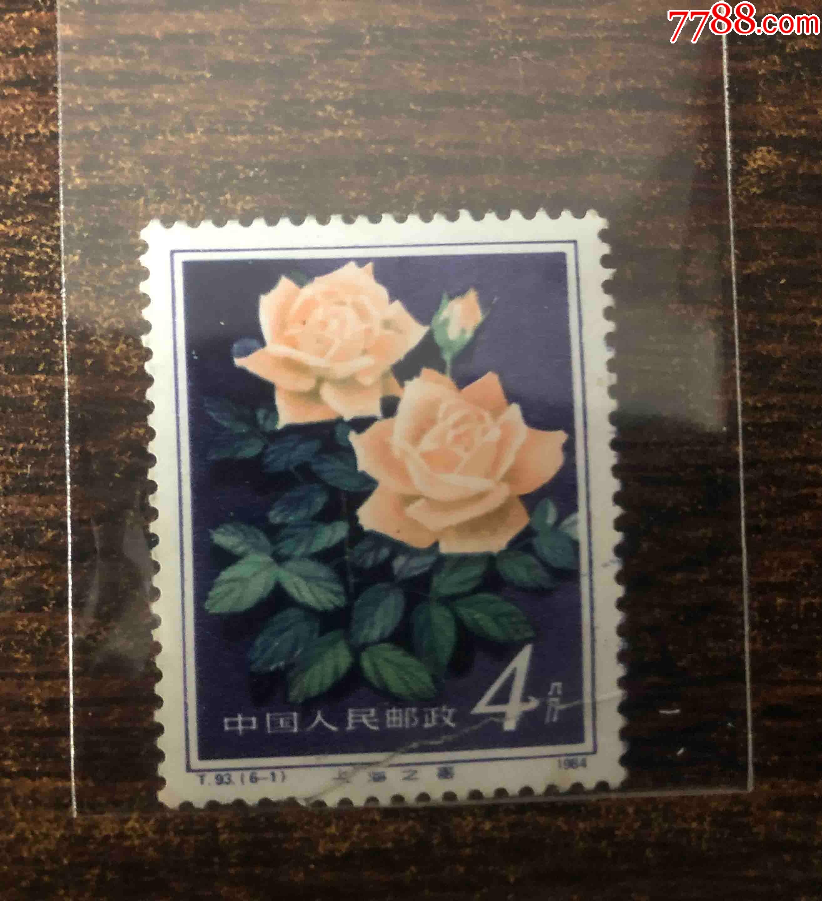t93;6-1(1981)月季花_新中国邮票【西部收藏】_第1张_7788印章收藏