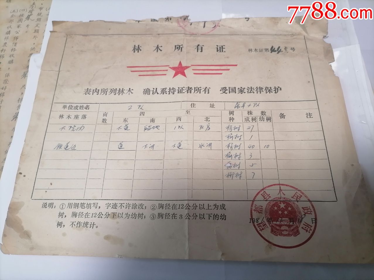 林木所有证保定市望都县