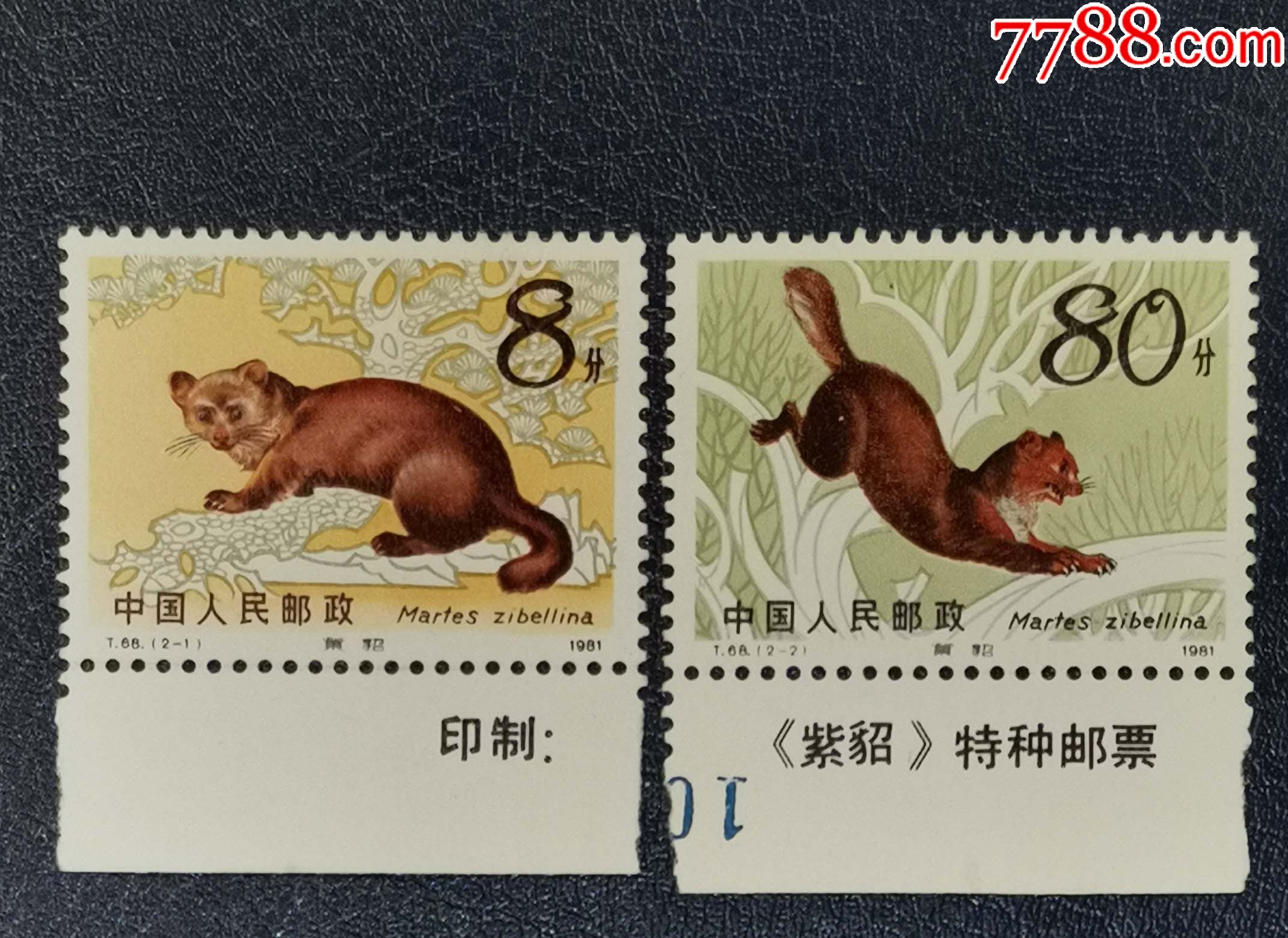t68紫貂,带边_新中国邮票_龙行天下邮币卡社【7788收藏__收藏热线】
