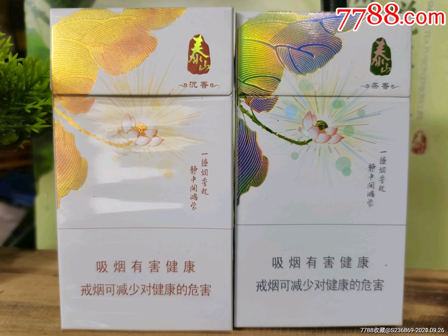 泰山茶香出口专供图片