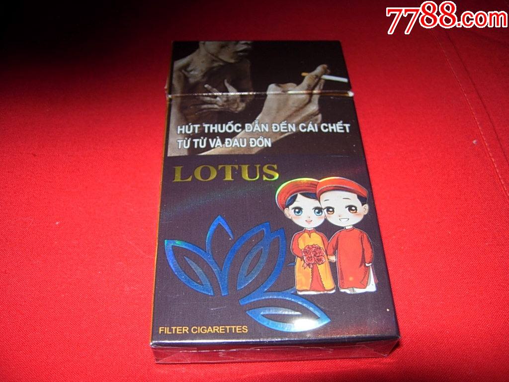 越南lotus烟莲花图片