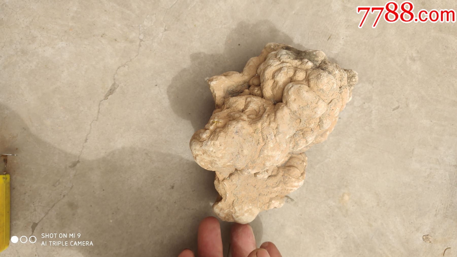 奇石;原生观赏石天然石头造型石一块{动物}