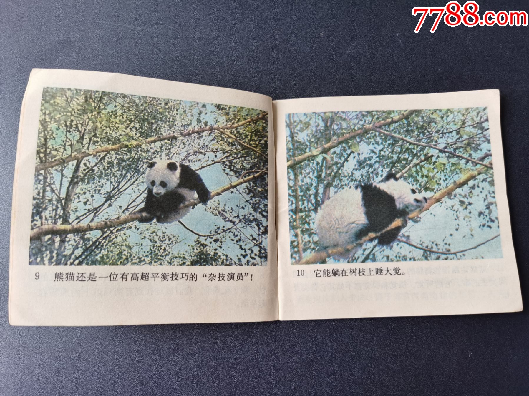 彩色连环画熊猫79年上海