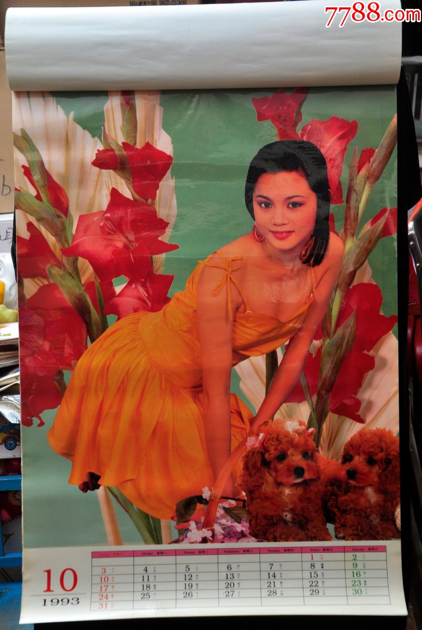 1993年美女宠物挂历【13页全】