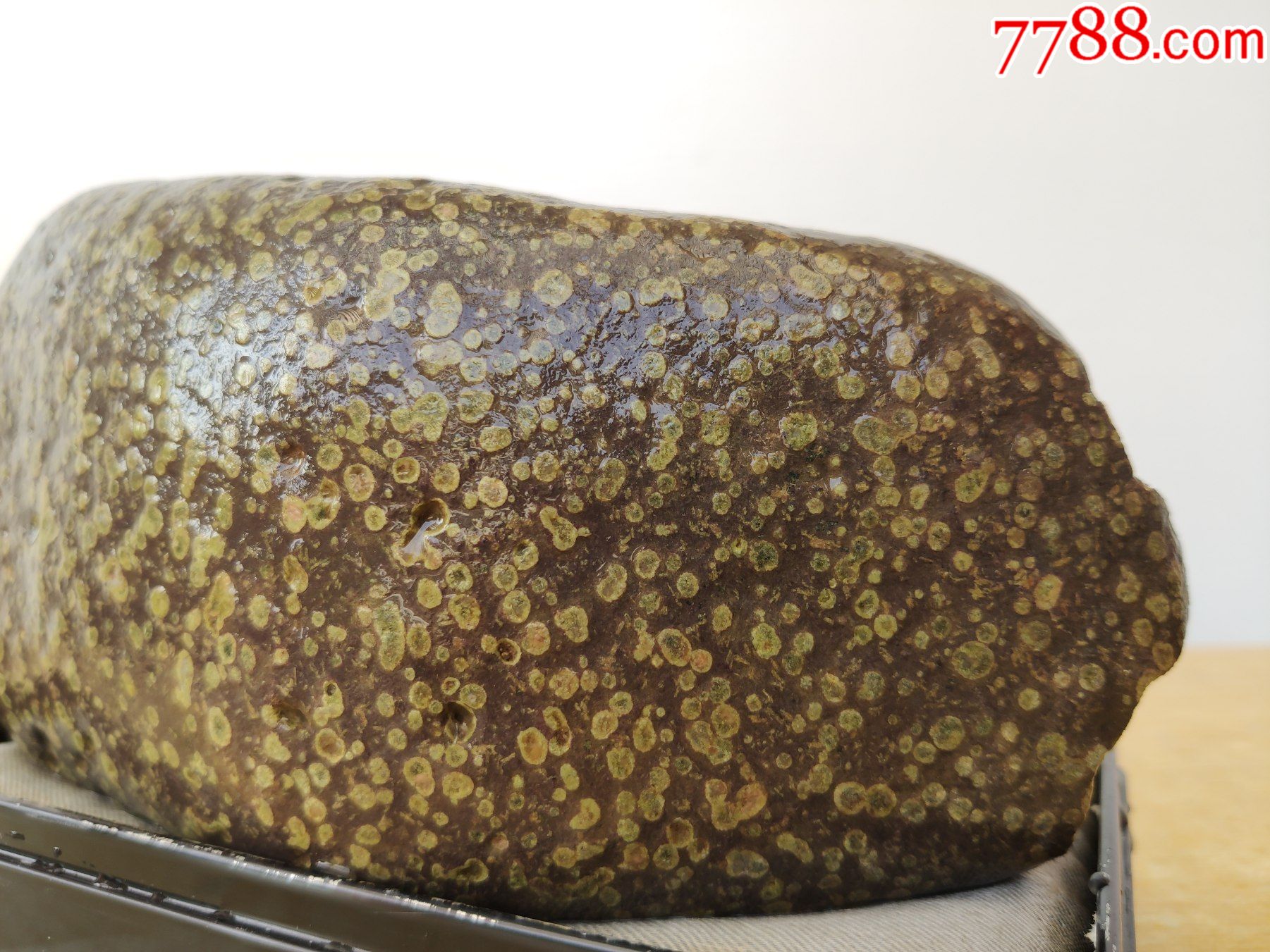 新进洛阳梅花石原石1216"翠绿"(色彩艳丽)