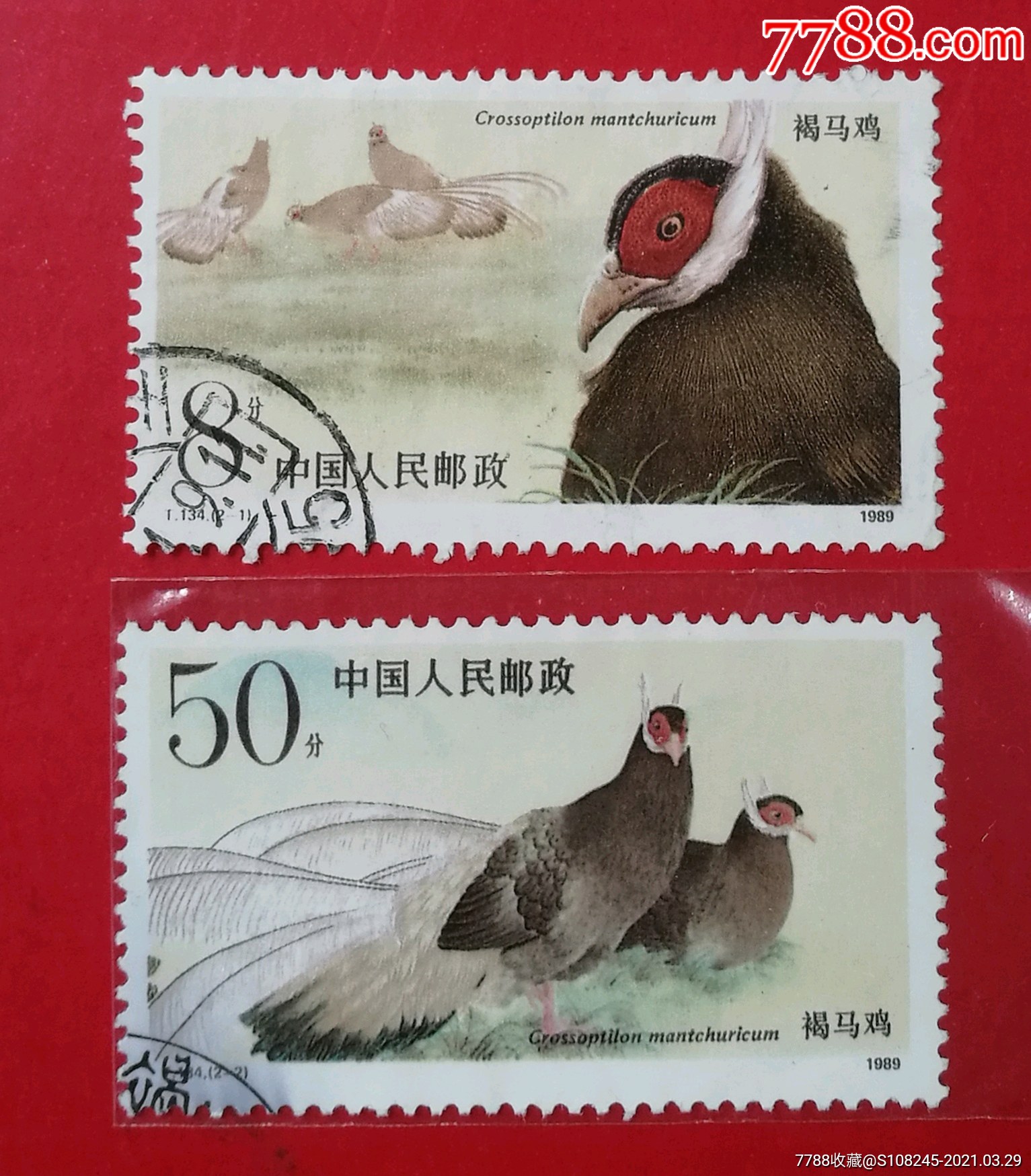t134褐马鸡_新中国邮票_怡兴邮市【7788收藏__收藏热线】