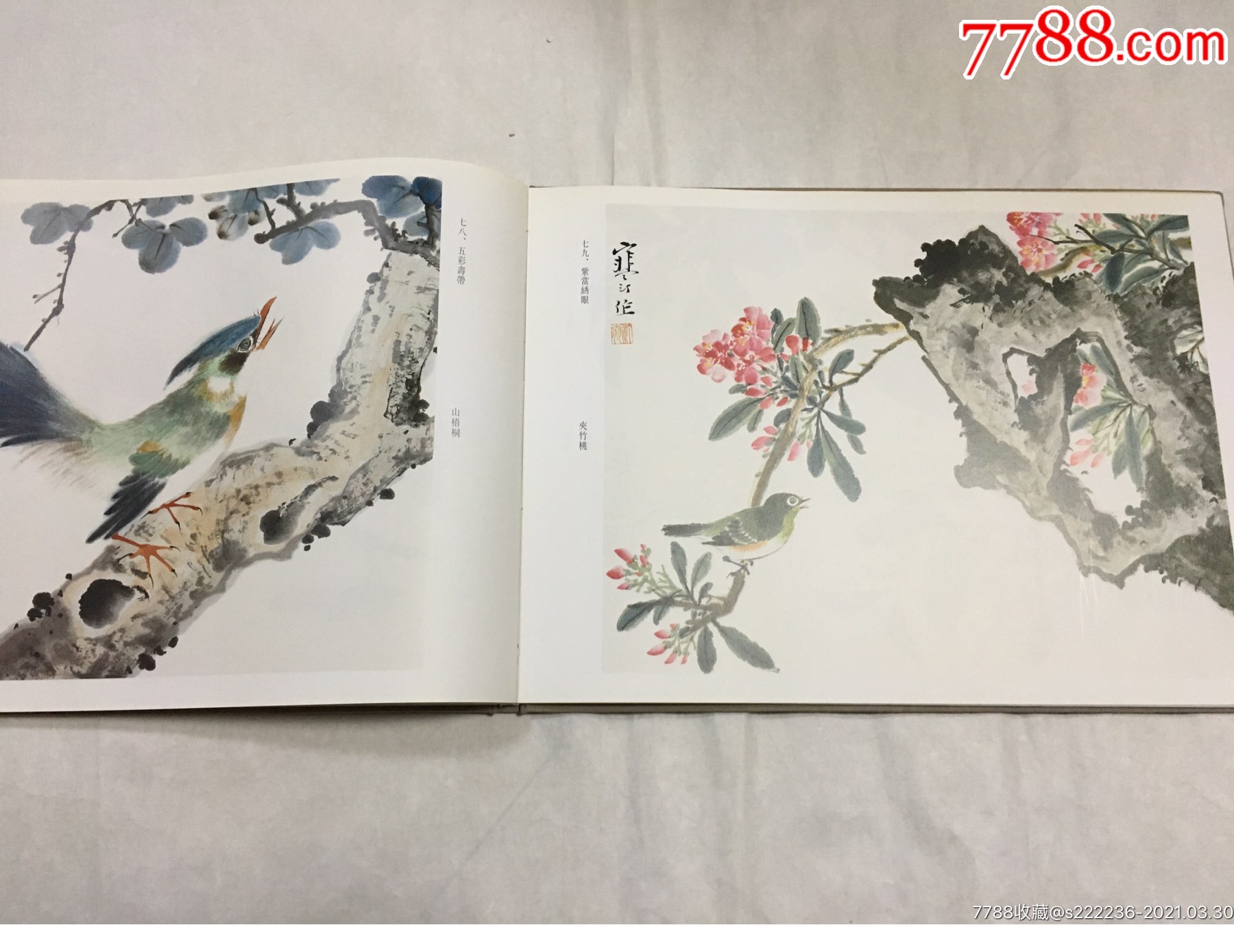 江寒汀百鸟百卉册附函套1995年1版1印