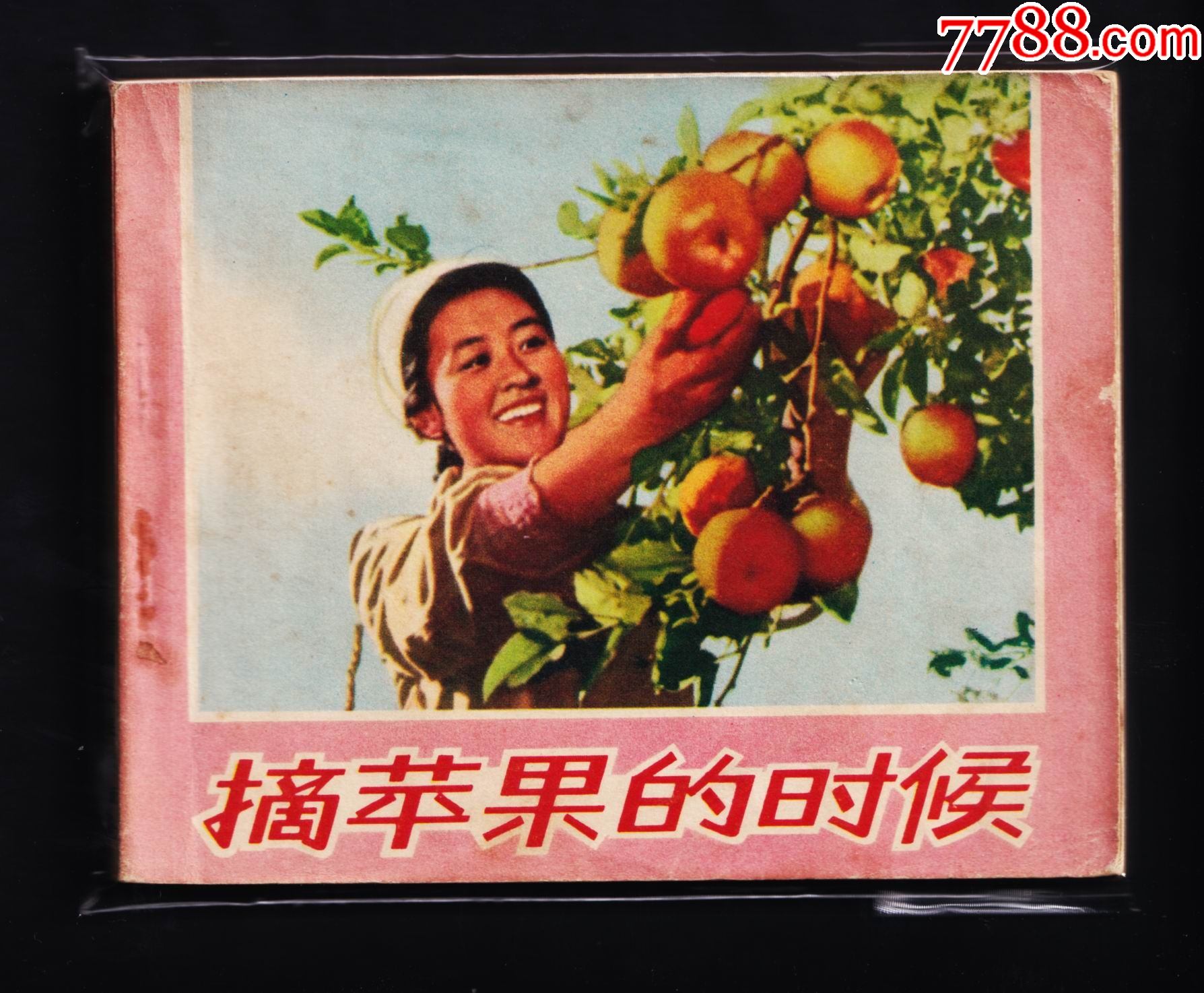 摘苹果的时候