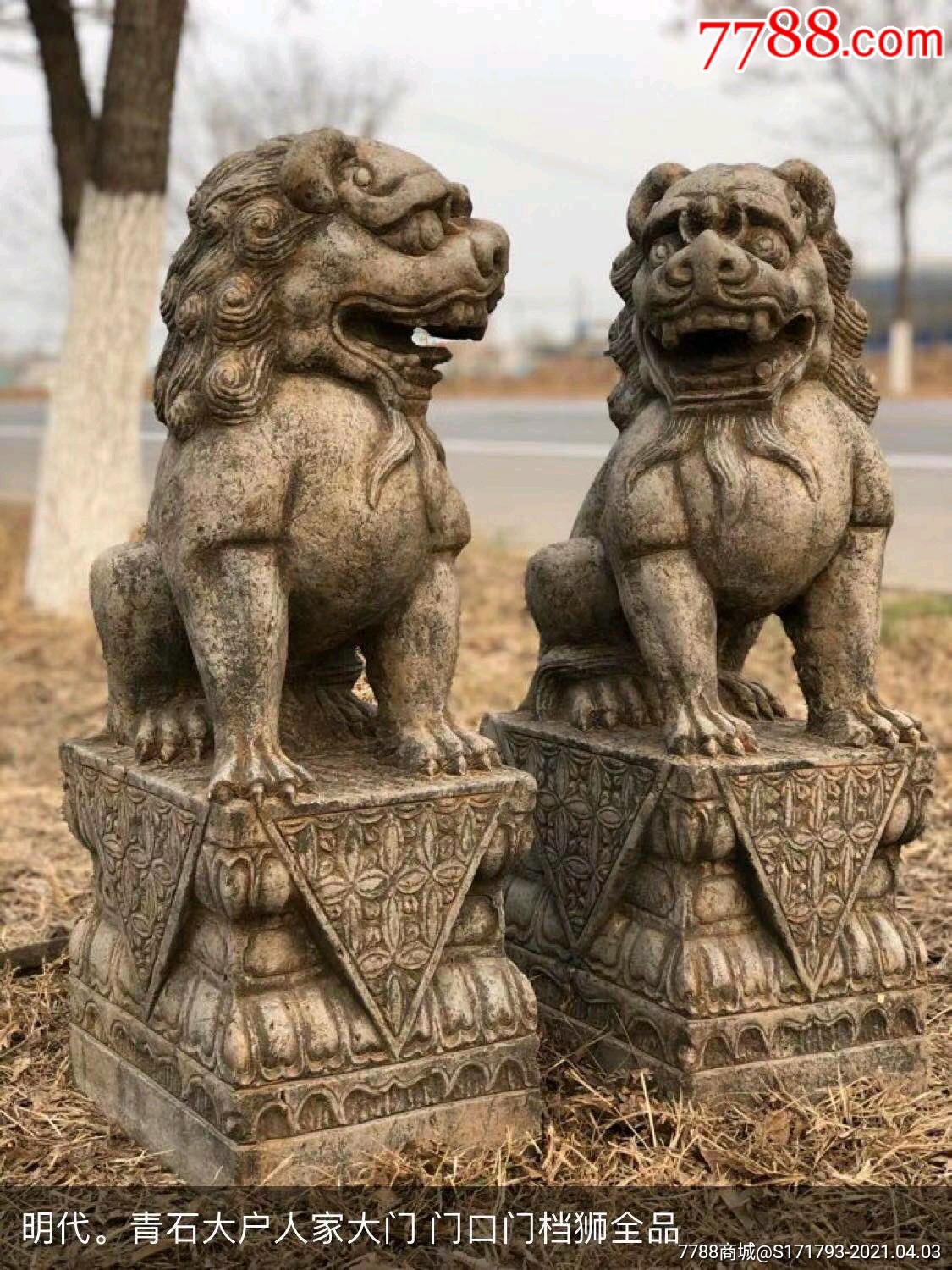 中国元素石狮子高清图片下载-正版图片500631916-摄图网