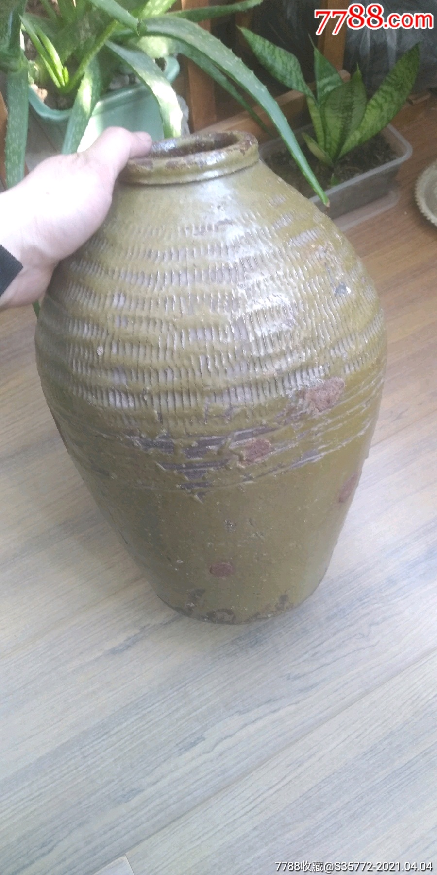 绳纹芥末釉,大酒坛子