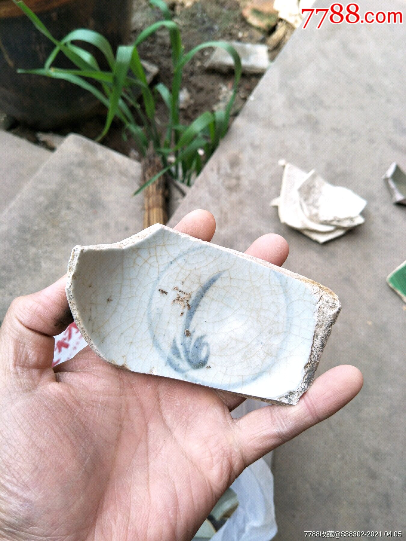 京杭大运河出品元青花瓷片残片临清运河古玩店万枚瓷片标本馆