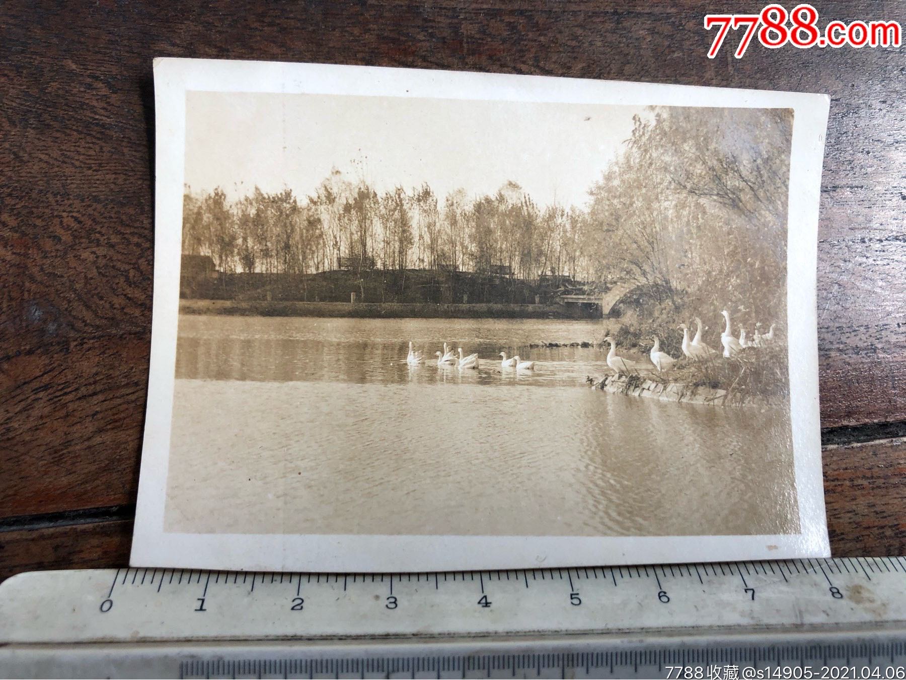 民国时期武汉汉口中山公园鸭子湖原版老照片