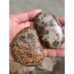 火星陨石小怪兽