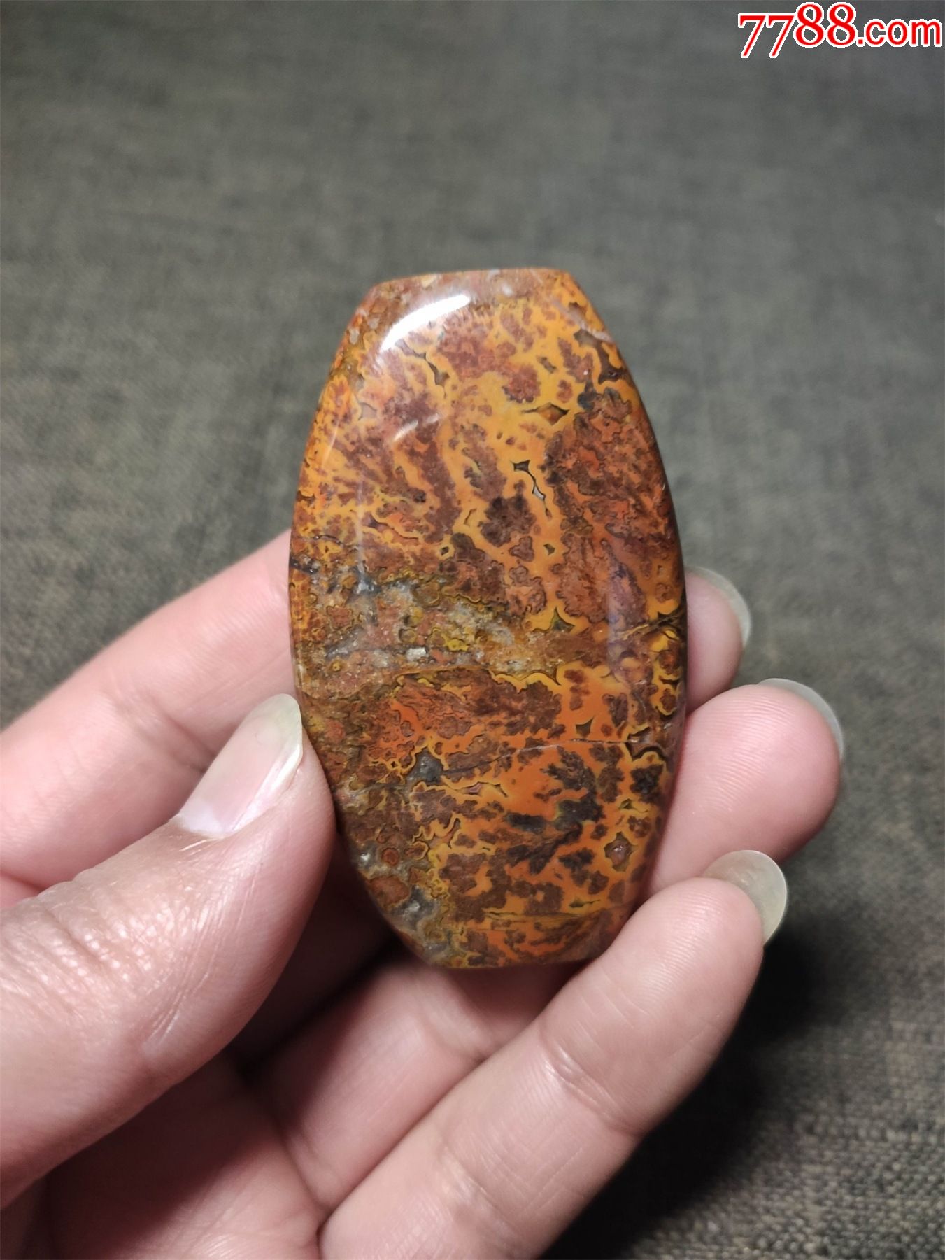 战国红勒子_价格120元【在乡间】_第1张_7788收藏__收藏热线