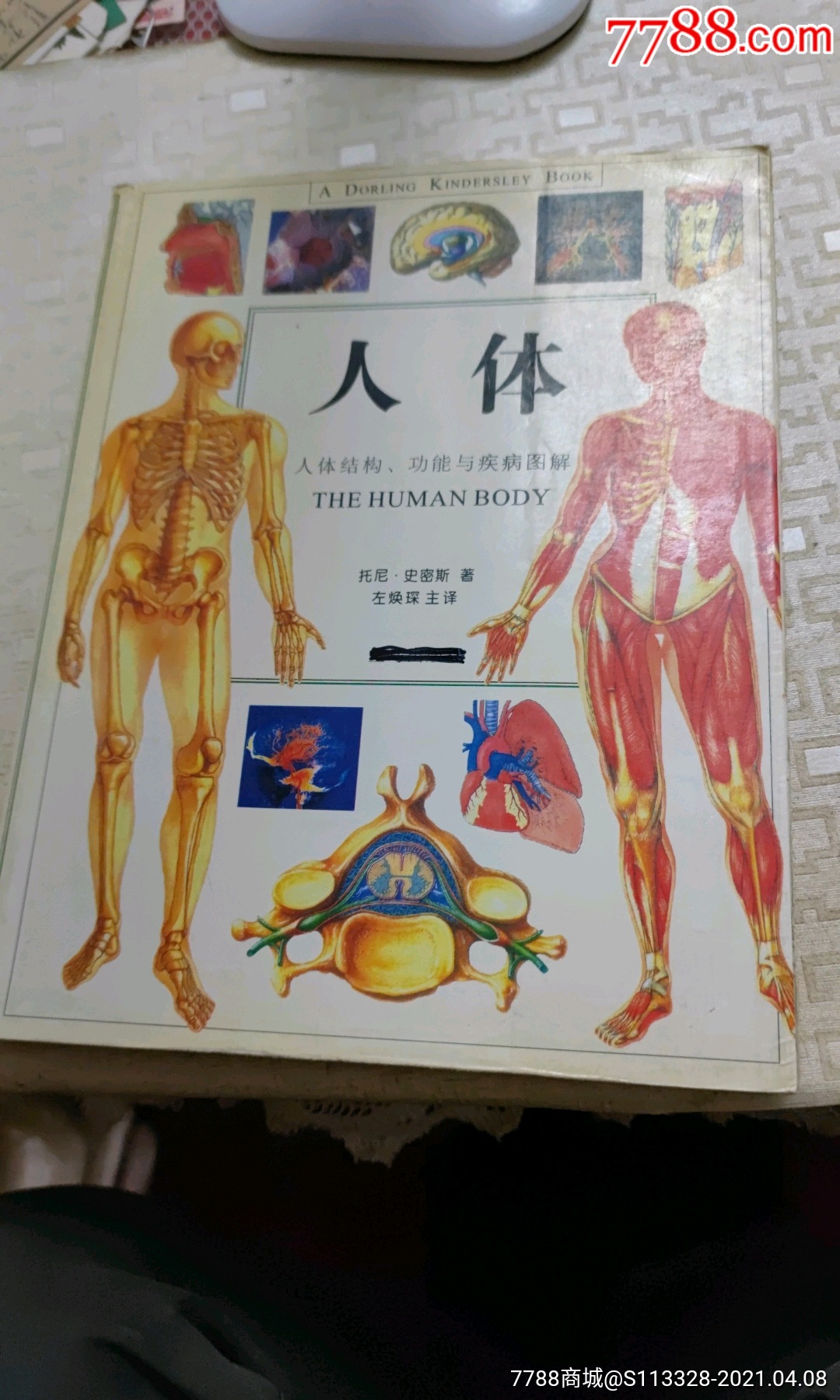 人体结构功能与疾病图解