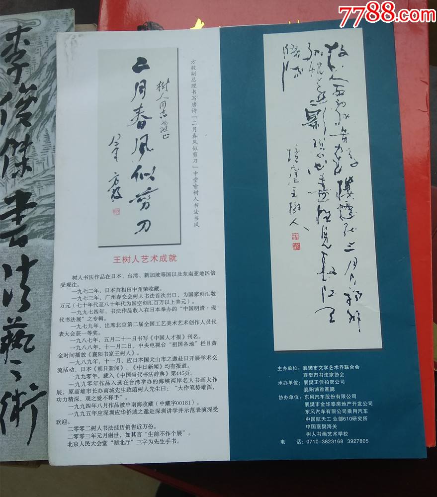 2006年王树人书法展简介
