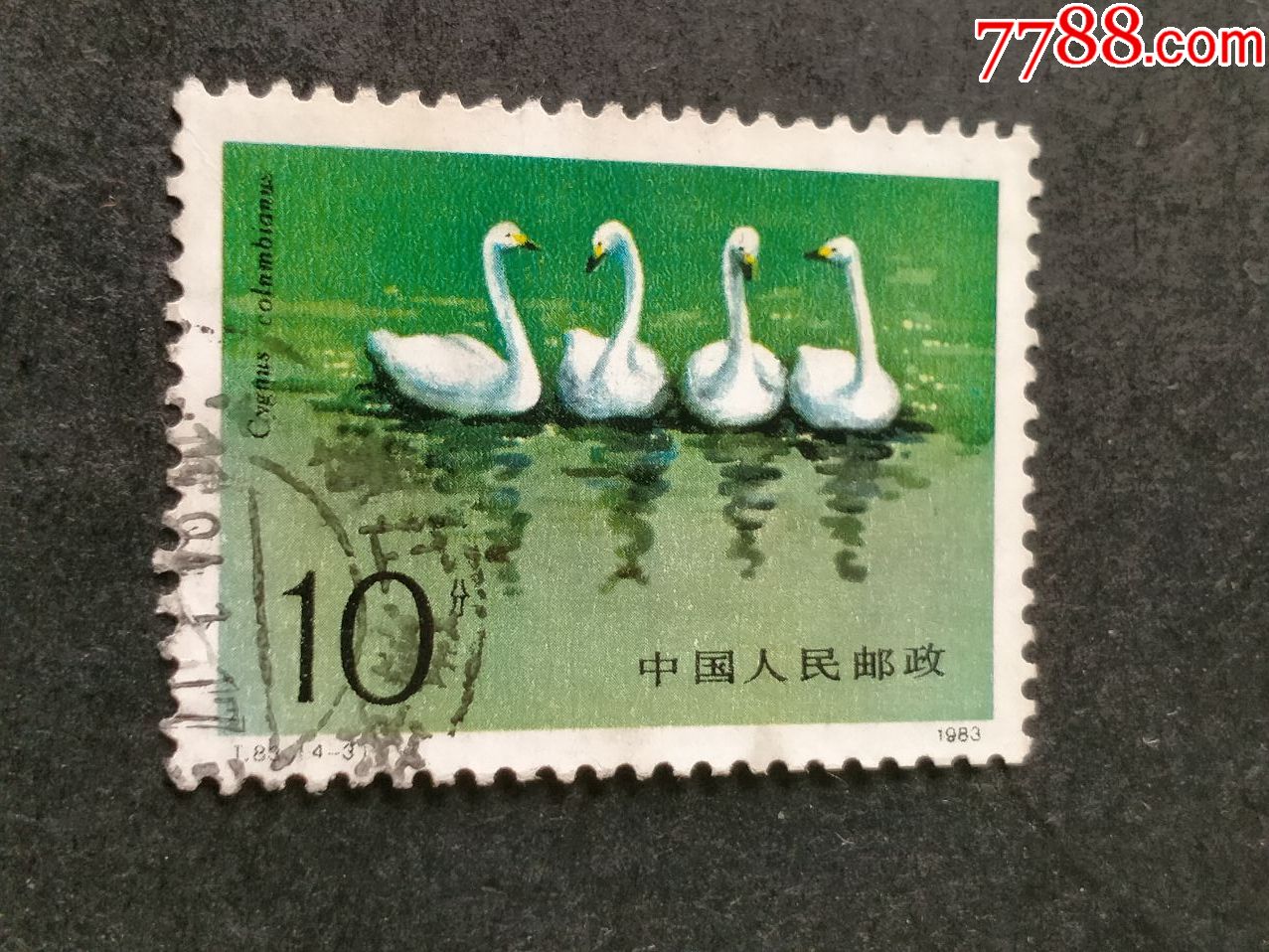 t83天鹅-新中国邮票-7788收藏