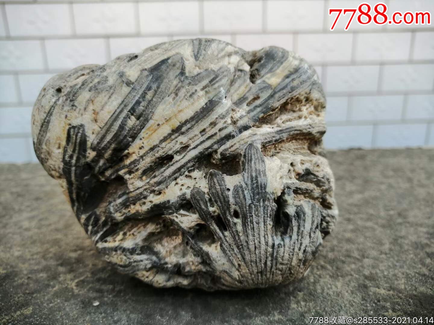 化石摆件_其他奇石/岩石_种类图片_收藏价格_7788茶具