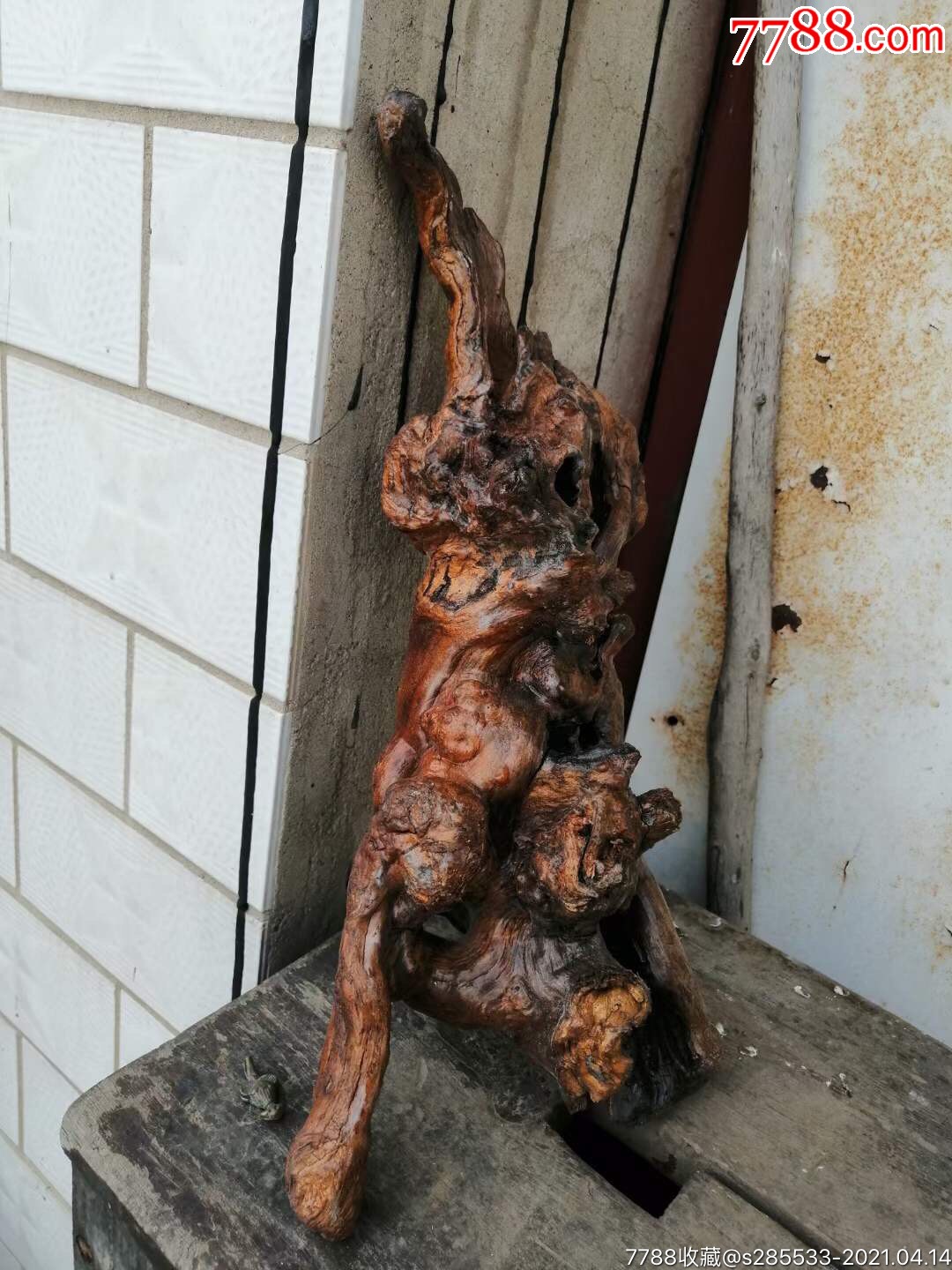 树雕_其他根雕/木雕_第2张_7788奇石收藏
